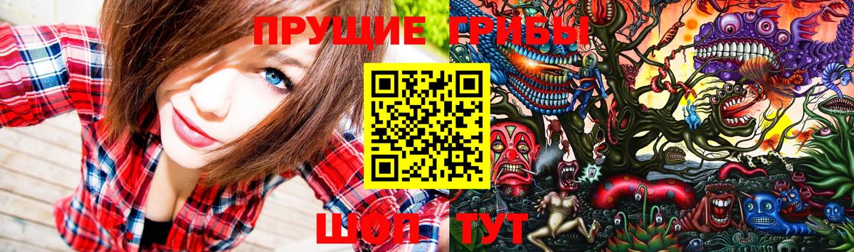 Псилоцибиновые грибы GOLDEN TEACHER Михайловск