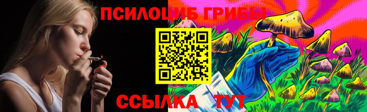 Михайловск  Псилоцибиновые грибы мухоморы  Вход с VPN 